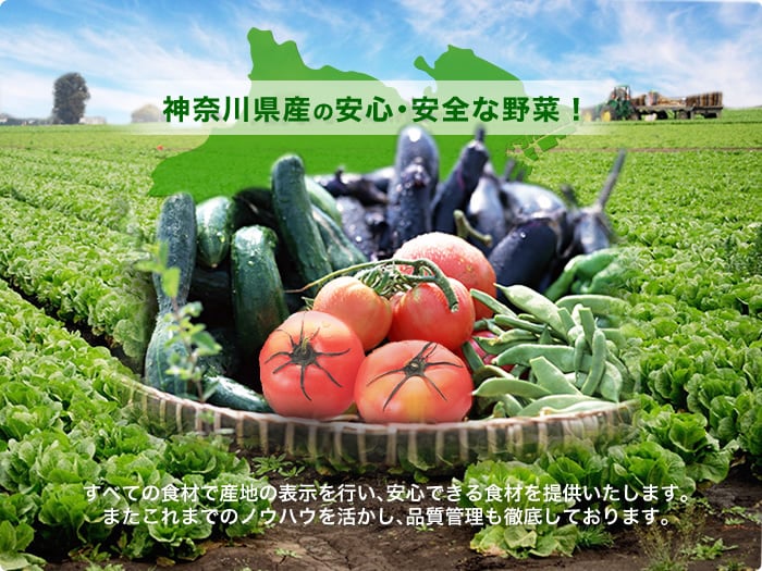 神奈川県産の安心・安全な野菜！